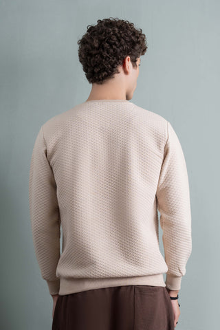 Beige Textured Knit Sweatshirt Ecowears Store
