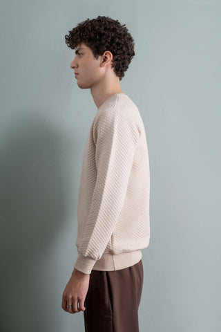 Beige Textured Knit Sweatshirt Ecowears Store