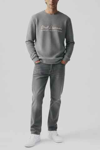 Grey Textured Sweatshirt Ecowears Store