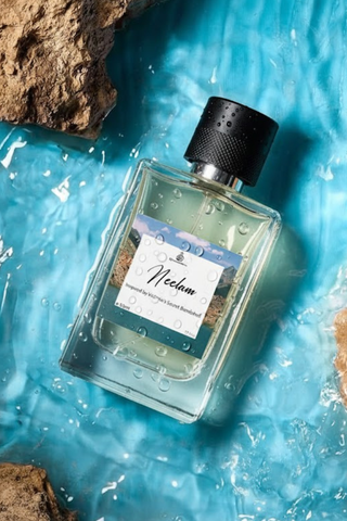 Neelam Inspired by Victoria's Secret Bombshell